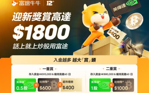 美国大选日，老虎国际交易订单量激增74%，盈利用户占比逾7成